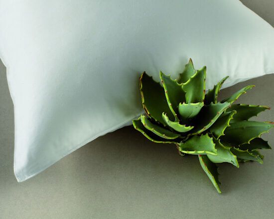 cuscino aloe